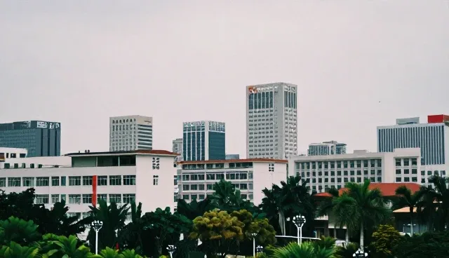核对清单:企业名录展示的本地化维护要点